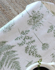 Chervil - Fern
