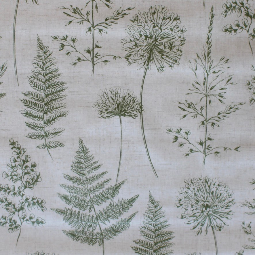 Chervil - Fern