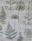 Chervil - Fern