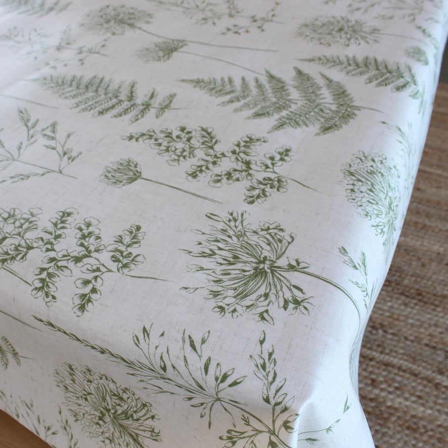 Chervil - Fern