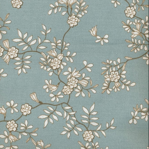 Collection Image