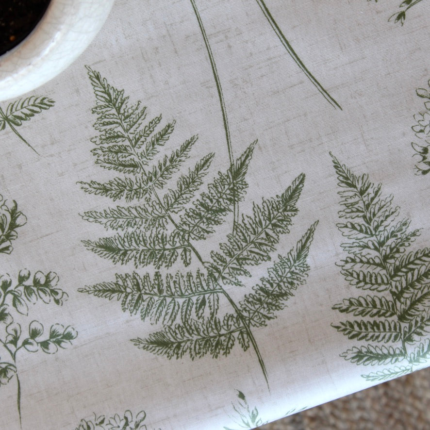 Chervil - Fern