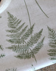 Chervil - Fern