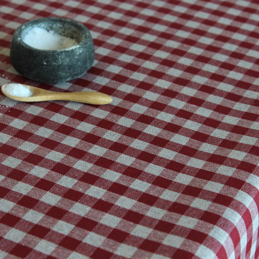 Small stone bowl and wooden spoon with salt on a red and white checkered tablecloth