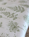Chervil - Fern