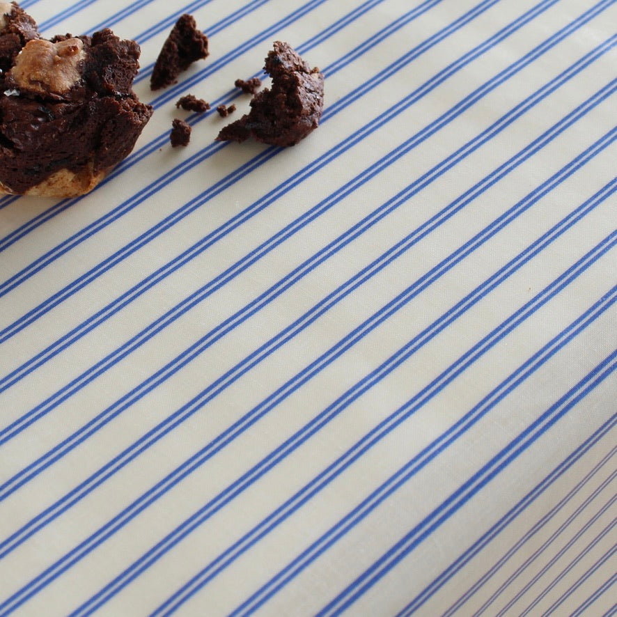 A close-up of a tablecloth with thin blue diagonal stripes, with a few brown cookie or pastry crumbs placed in the upper left corner.