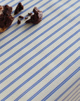 A close-up of a tablecloth with thin blue diagonal stripes, with a few brown cookie or pastry crumbs placed in the upper left corner.