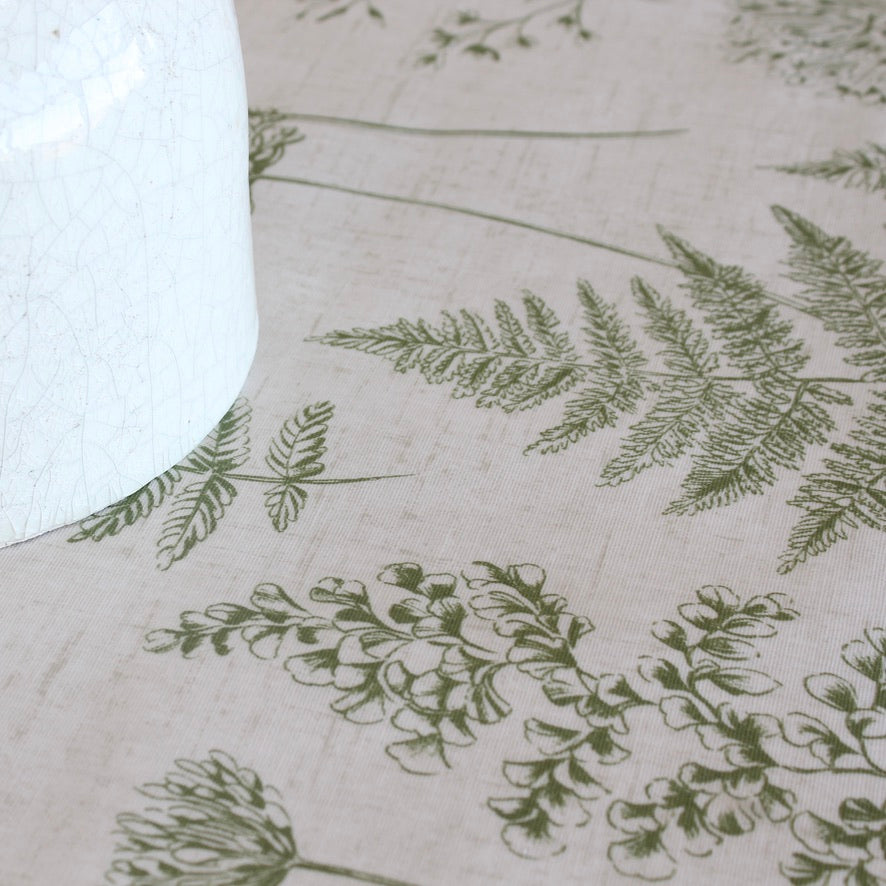 Chervil - Fern