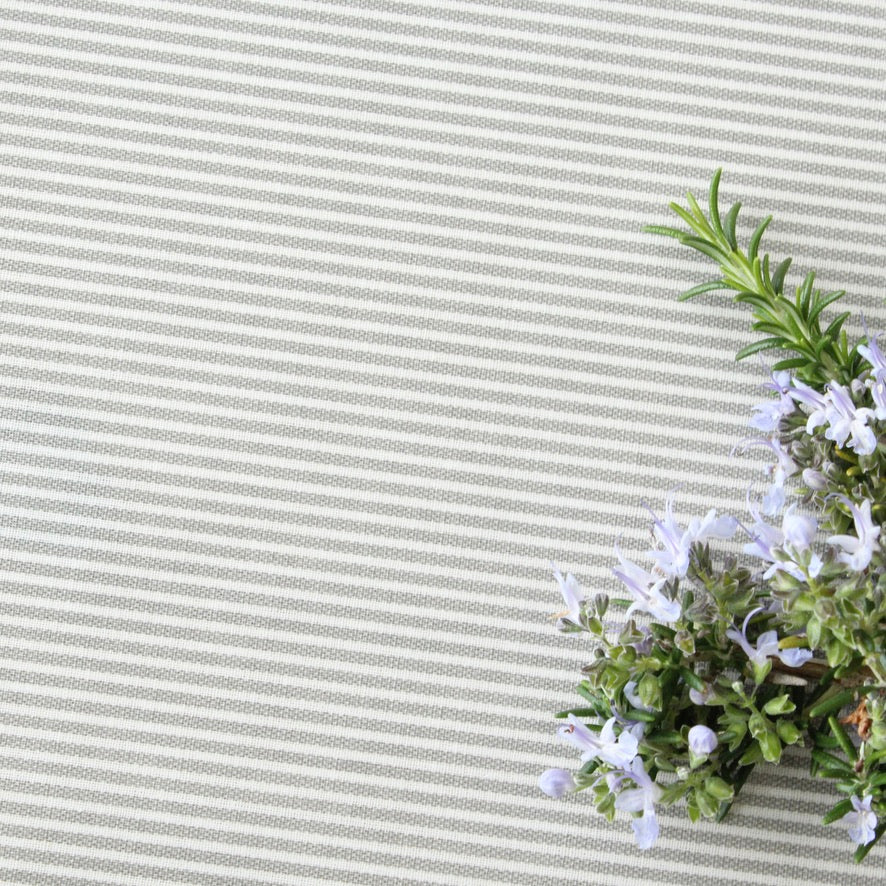 Herbs on a striped oilcloth background