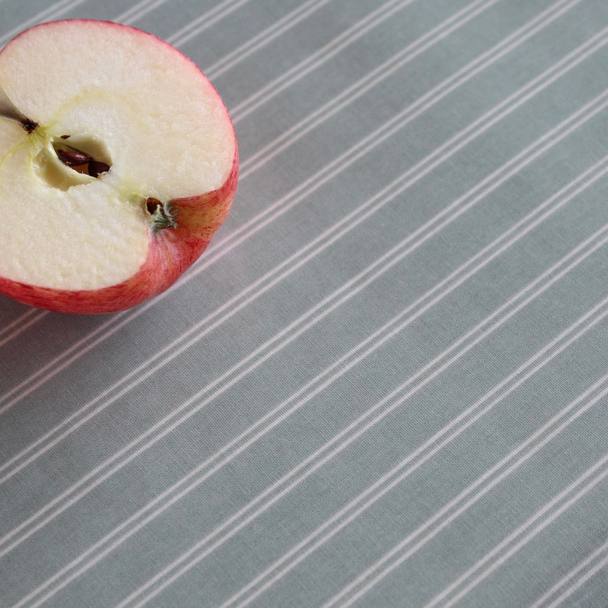 A close-up of a sliced red apple placed on a tablecloth with thin white vertical stripes.