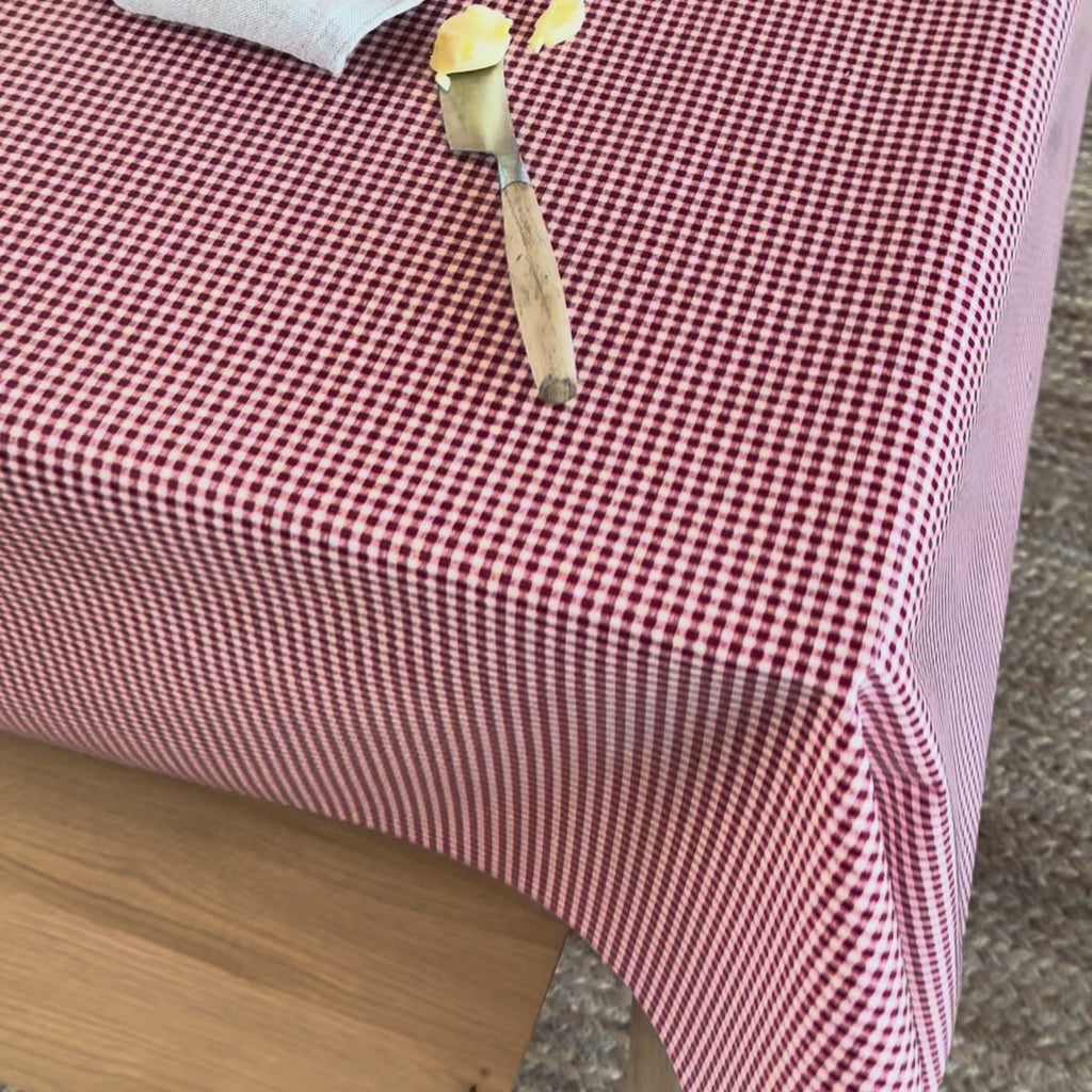 video of a red gingham check tablecloth